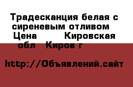 Традесканция белая с сиреневым отливом › Цена ­ 30 - Кировская обл., Киров г.  »    